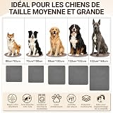 BaoDan Tapis Chien Lavable 90x120 cm, Lot de 2, Tapis Absorbant Chien - 7