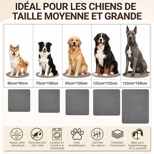 BaoDan Tapis Chien Lavable 90x120 cm, Lot de 2, Tapis Absorbant Chien - 7