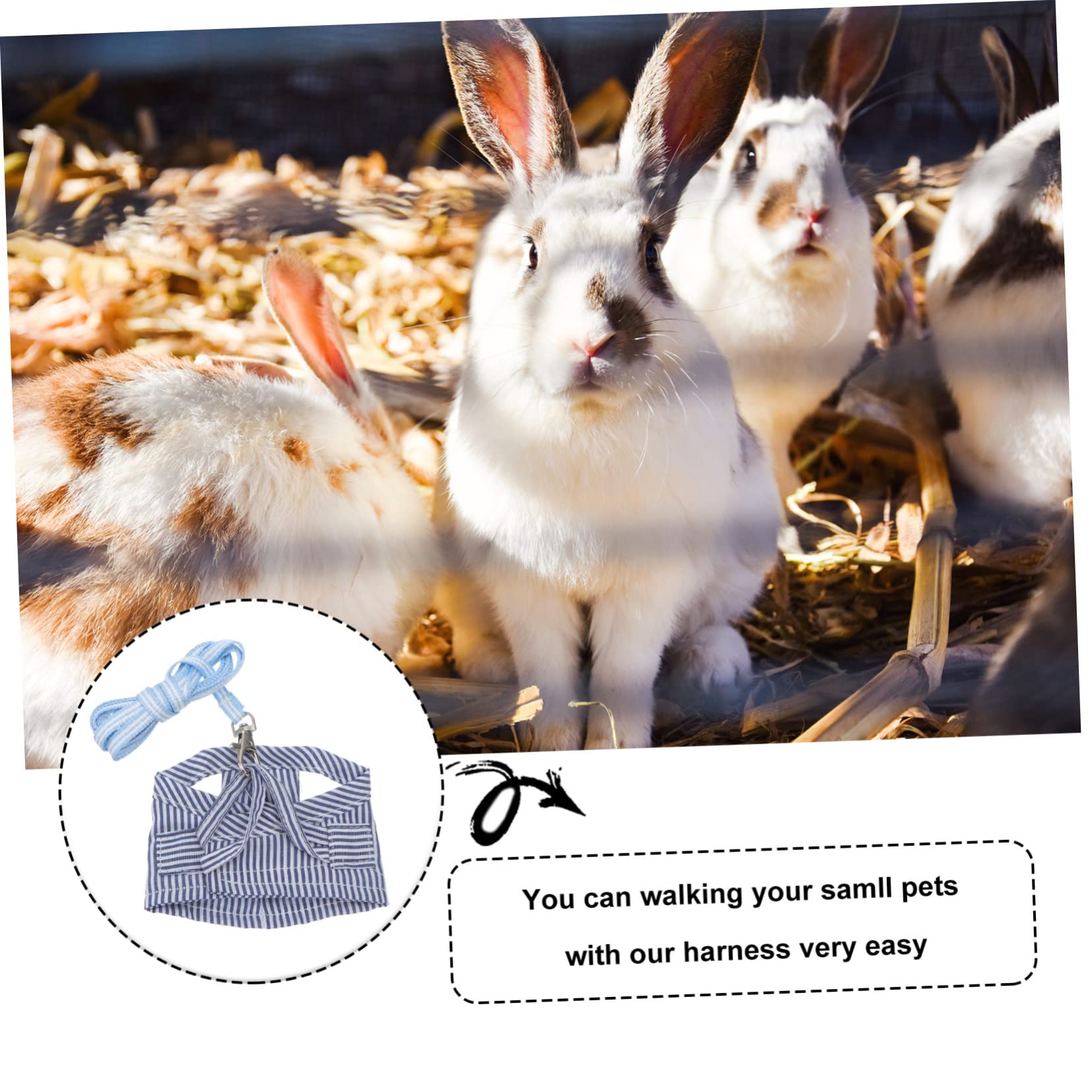 minkissy 3stücke Tiergeschirr Mit Leine Für Meerschweinchen Und Kaninchen Verstellbare Baumwoll-Weste Outdoor-Bekleidung Für Chinchillas Ratten Eichhörnchen Und Frettchen s Blau