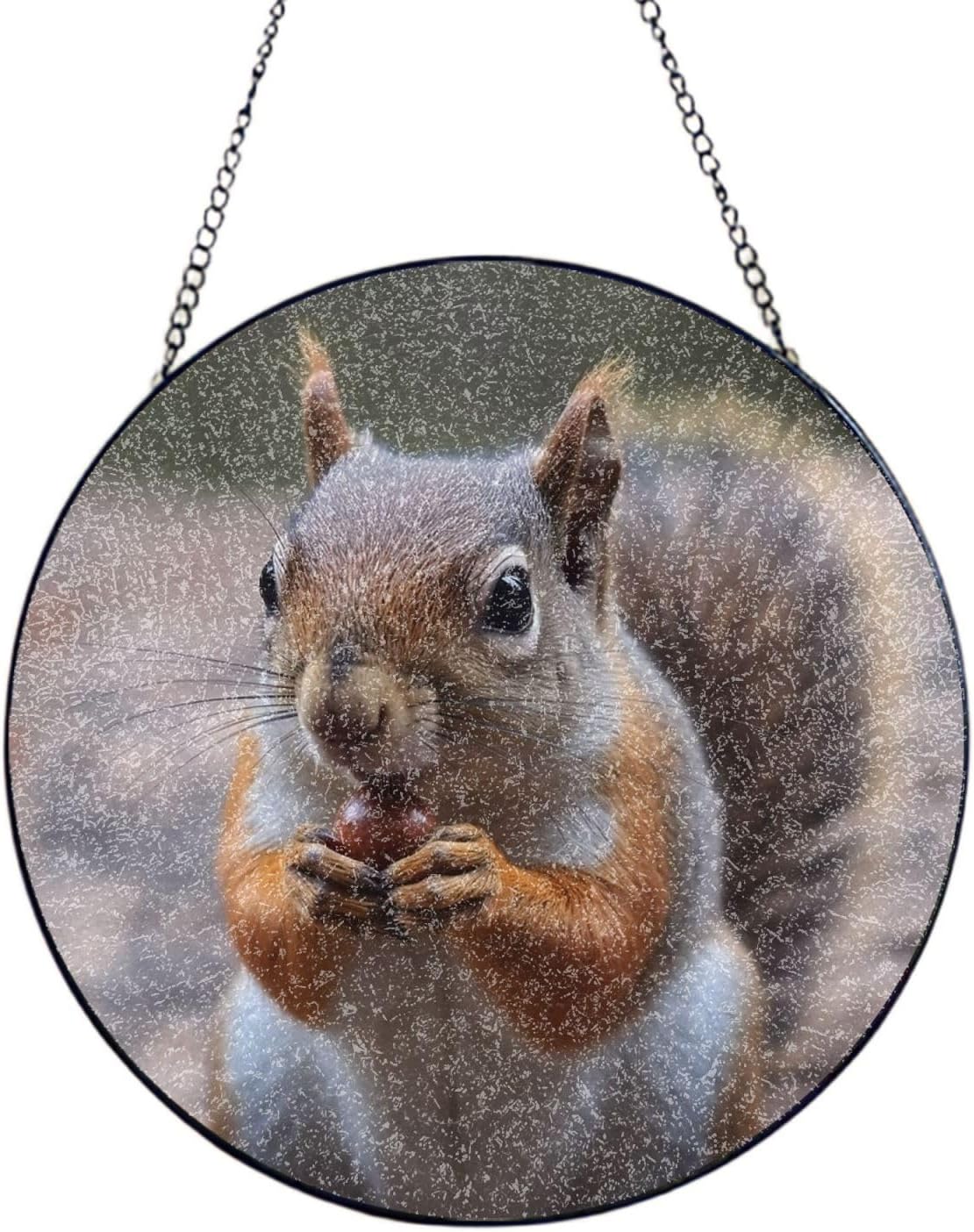 Stained Glass Window Hanging 6in（15cm）, Cute Squirrel Glass Suncatcher for Home Decor, Indoor Wall Art Glass Panel with Metal Chain and Hooks, Sun Catcher Ornament Birthday Gifts