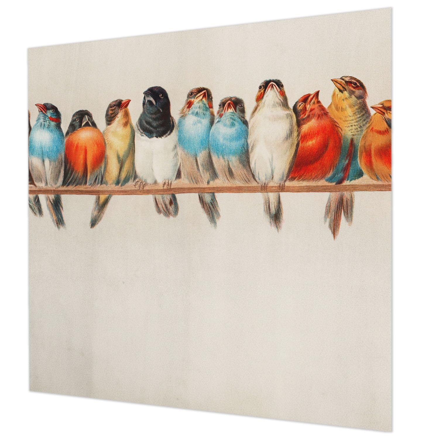 Papier peint mural intissé chambre salon oiseaux sur branche 250x250 cm