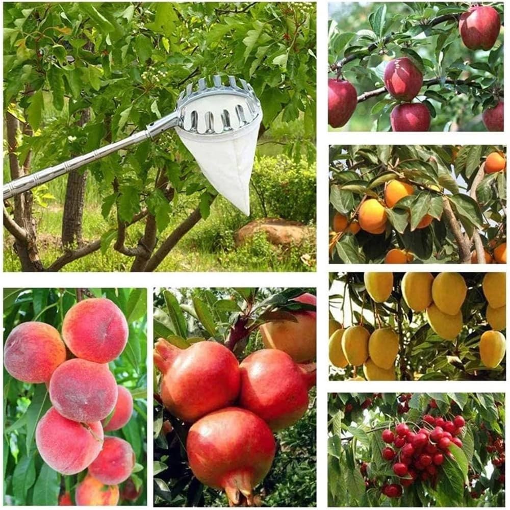 Attrezzo per la raccolta della frutta, Testa Raccoglifrutta In Abs Con Borsa Bianca 14-16cm | 14cm