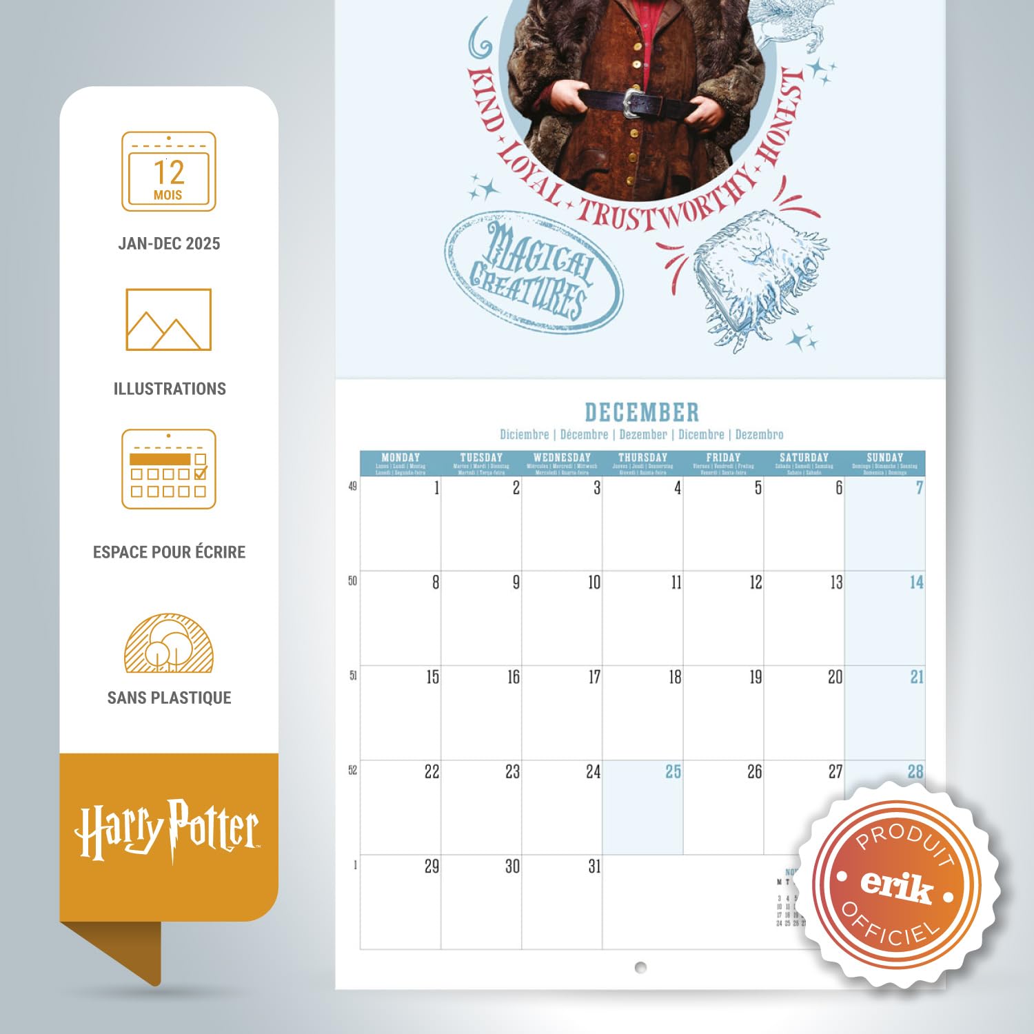 Calendrier De Bureau 2025 Chats - Mensuel 18x20cm Janvier à Décembre - Multilingue