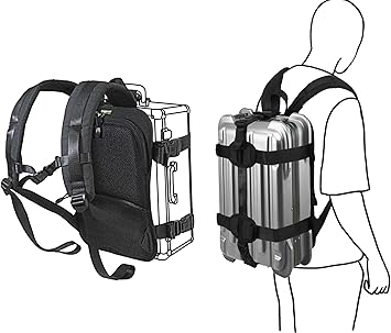 hard frame backpack