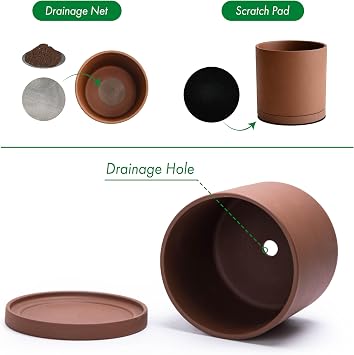 D'vine Dev 6 Inch Rust Terracotta Plant Pot with Drainage Hole and Saucer, Round Cylinder Planter Pot for Indoor Plants, 40-V-C-3