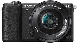 Sony a5100 16-50mm Mirrorless Digital Camera with 3-Inch Flip Up LCD (Black) - International Version (No Warranty)