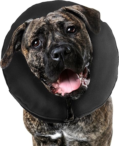 amazon inflatable dog collar