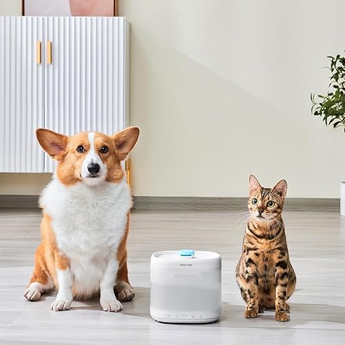 Miniatura 17 de Fuente de agua para gatos, fuente de agua ultra silenciosa para mascotas con bandeja de acero inoxidable, fuentes de agua de 67 oz/2 L para gatos