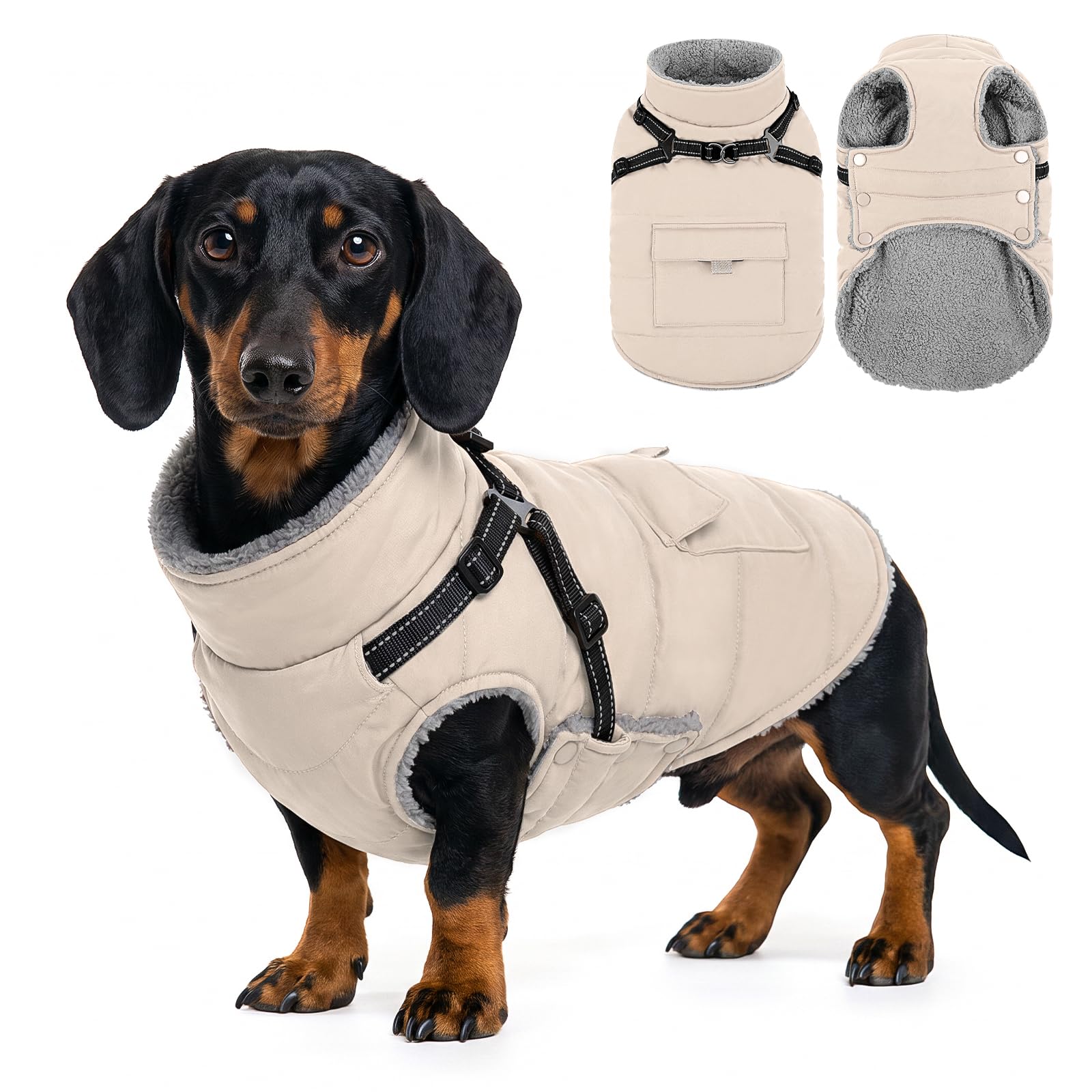 CITÉTOILE Wasserdichter Hundemantel Warm Gefüttert Beige L