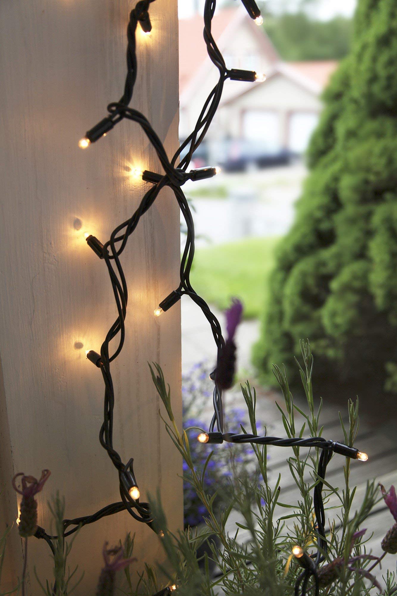 LED Lichterkette 10 m mit Stromkabel für Expo-Beleuchtungs-System von Star Trading, XL Lichter-Kette schwarz für außen, 100 LEDs warmweiß, IP44