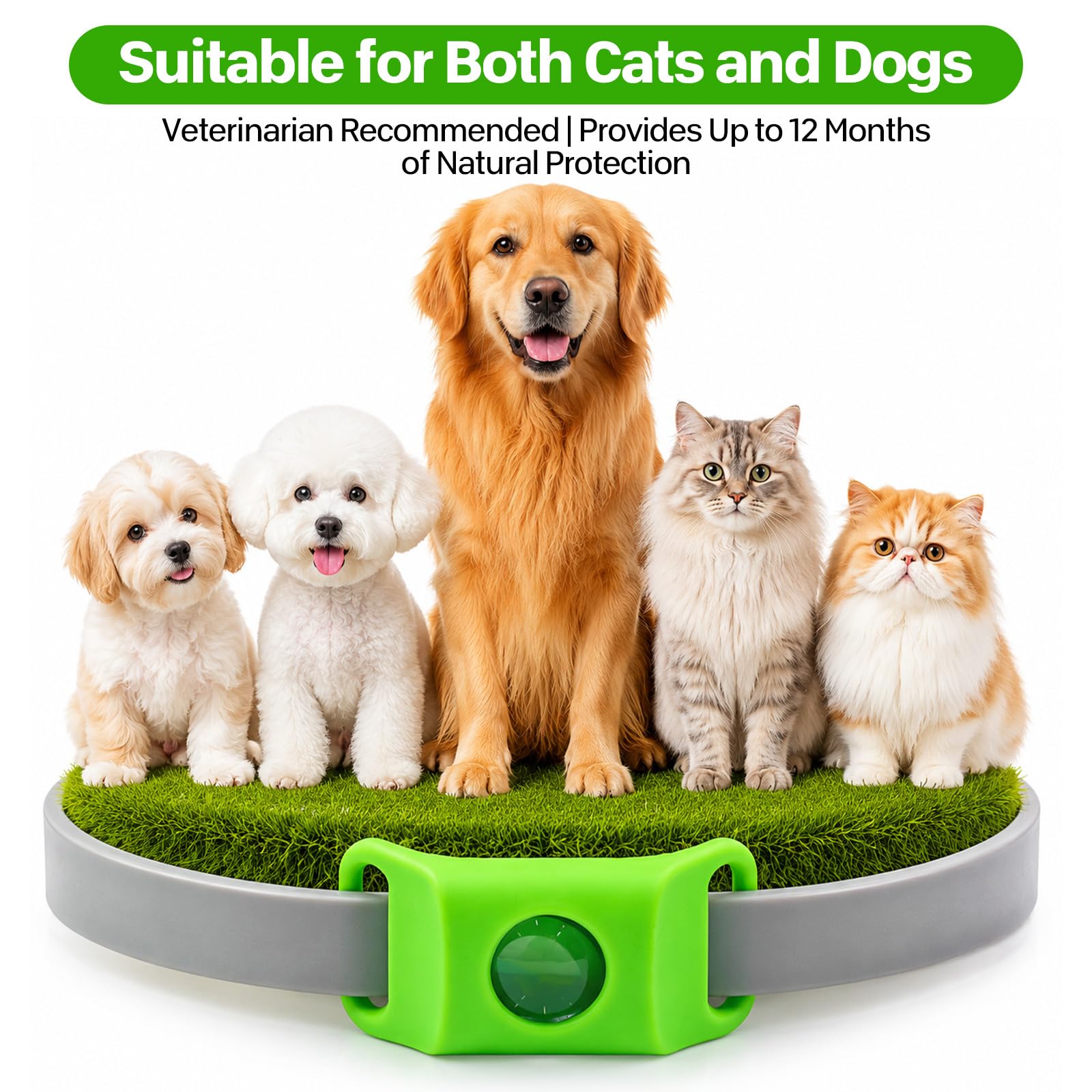 ZVD Pets Collier Anti Puce et Tique Naturel pour Chien, Répulsif aux Huiles Essentielles avec 2 Capsules Remplaçables, Collier Réglable sans Contact Direct Peau, Compatible AirTag (Noir)