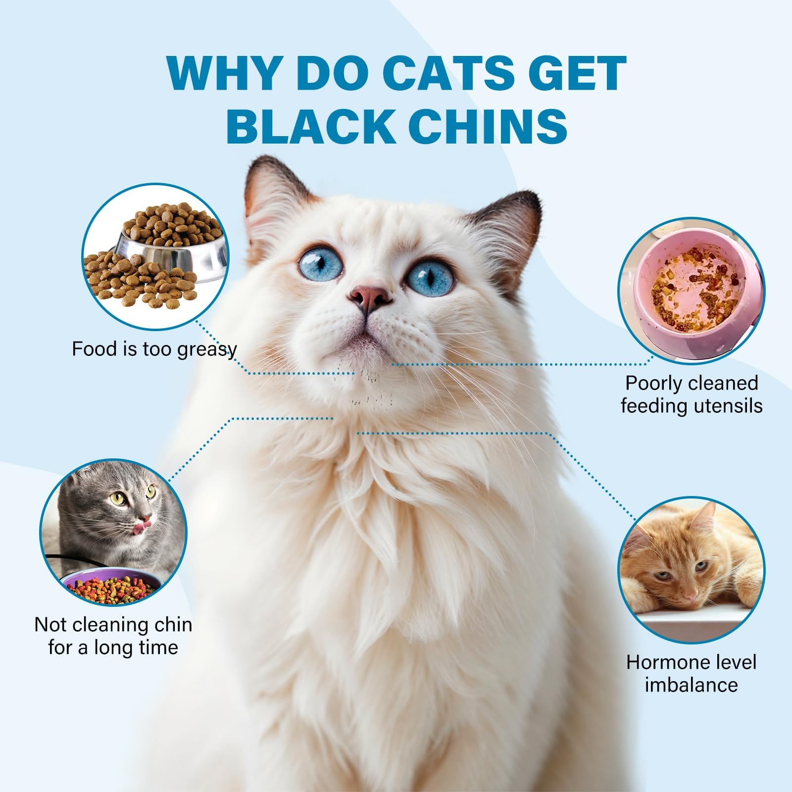 Oivolii Cat Black Seed Cleaner Kit,120ml Remove Cat Chin Blackheads Gentle & Effective Acne Chin Treatment 2-in-1 Wash and Black Seed Brush Soft Silicone Cat Grooming Scraper Brush - Image 3