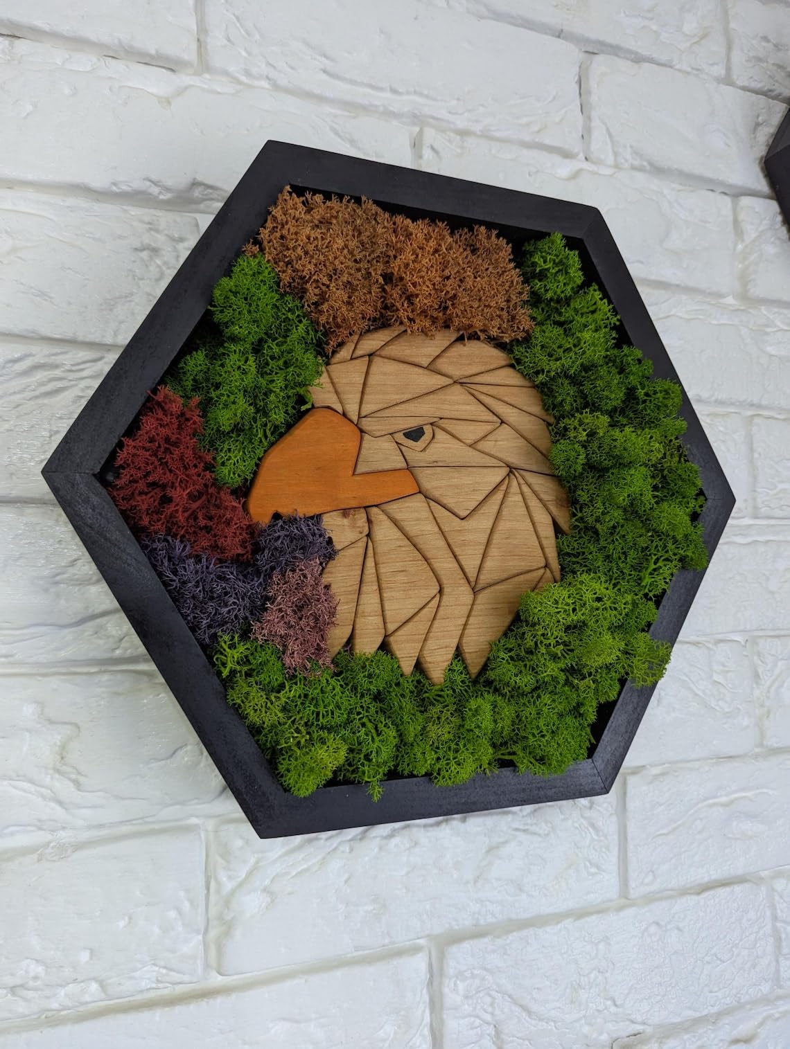 Moss Hexagons