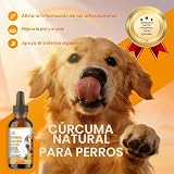 Ver la foto 2