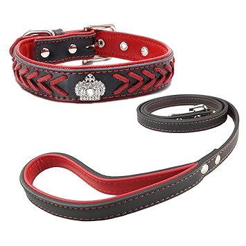 Newtensina Dog Collar and Lead Set Nylon Straps Woven Bling Collar Leather Diamante Puppy Collar with Leash for Dogs - Red - S