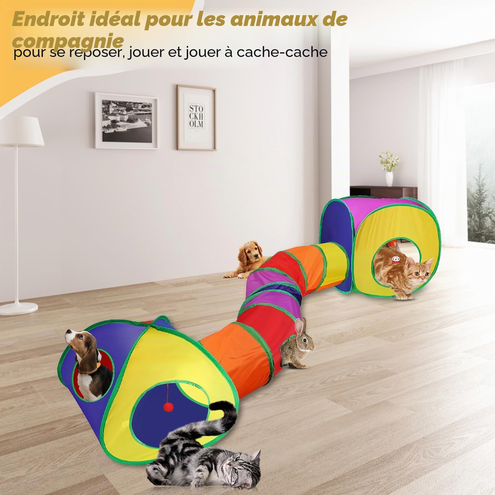 Jouet Tunnel Tente pour Chat Interieur Exterieur Jeu Tunelle pour Chat Interactif 3 en 1 Jouets pour Chats Jeux pour Chaton Tunelle Cat Toy Tunnel Pliable Cadeau pour Chien Lapin Chats Cobaye