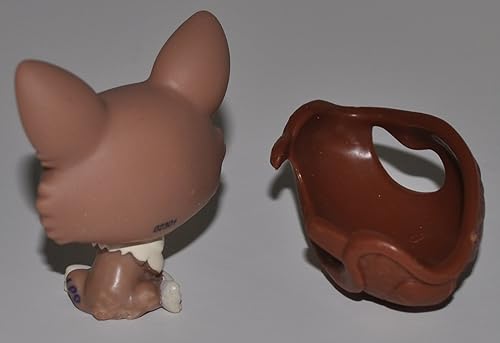 Miniatura 3 de Corgi #1864 con sombrero (bronceado, ojos azules)  Littlest Pet Shop (Retired) juguete de coleccionista  Figura individual de repuesto coleccionable