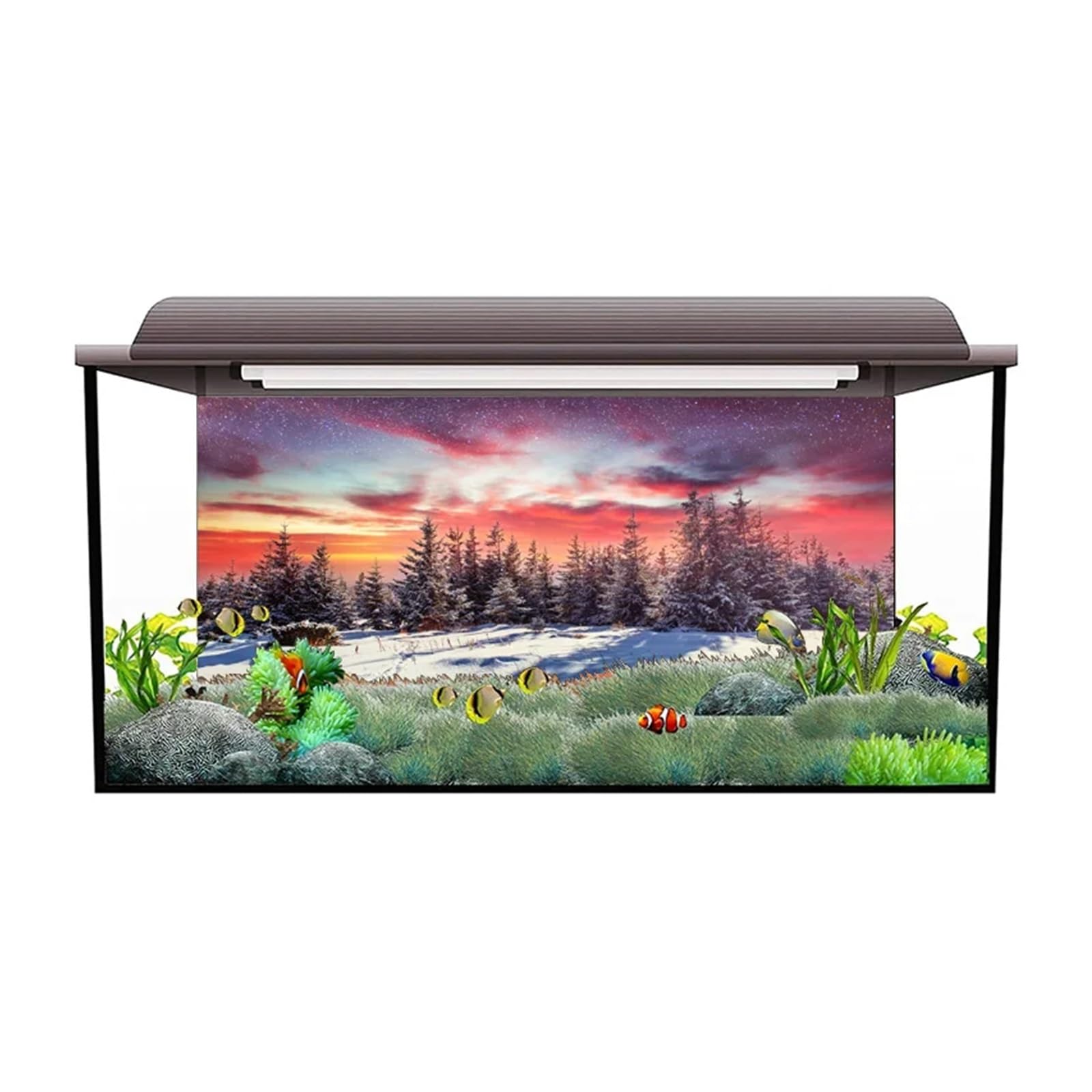 Poster Aquarium Autocollant de Fond d'aquarium, Affiche d'aurore hivernale, décoration, Papier Peint Autocollant, arrière-Plan(54x122cm)