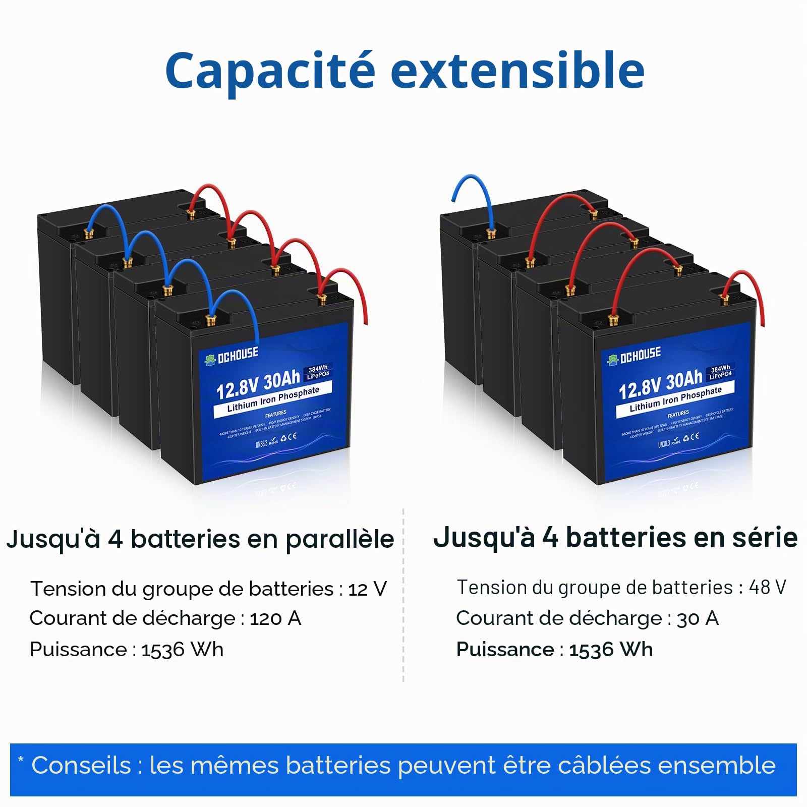 DCHOUSE 12V 30Ah Mini Batterie au lithiumavec Chargeur pour Batterie LiFePo4 12V 5A, Max 15000 Cycles et Protection BMS 30A, idéale pour Les sondeurs de pêche, Les Moteurs de traîne, etc
