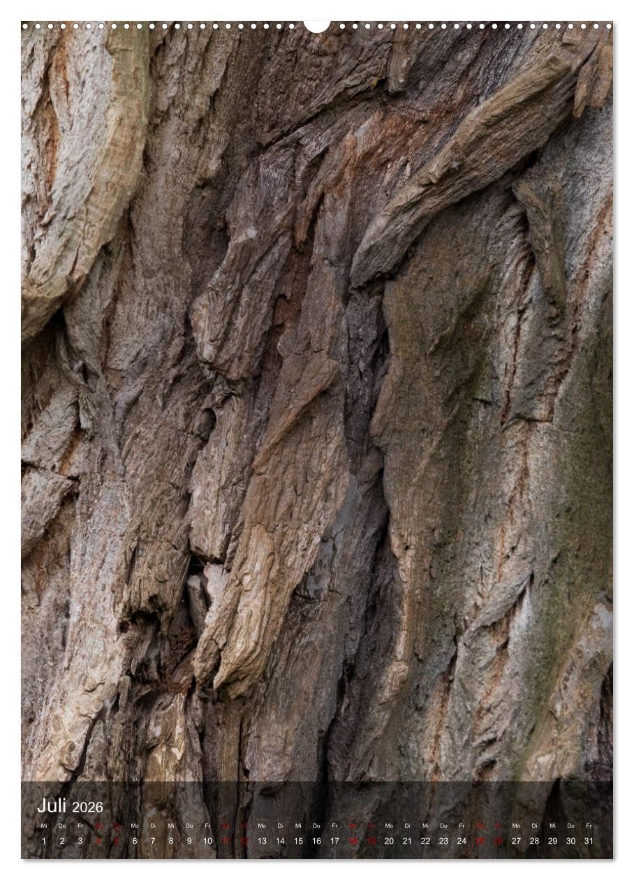 BÄUME DER ERDE - DIE FANTASTISCHE WELT DER RINDE (hochwertiger Premium Wandkalender 2026 DIN A2 hoch), Kunstdruck in Hochglanz: Nahaufnahmen der ... und Formen ihrer Rinden. (CALVENDO Natur)