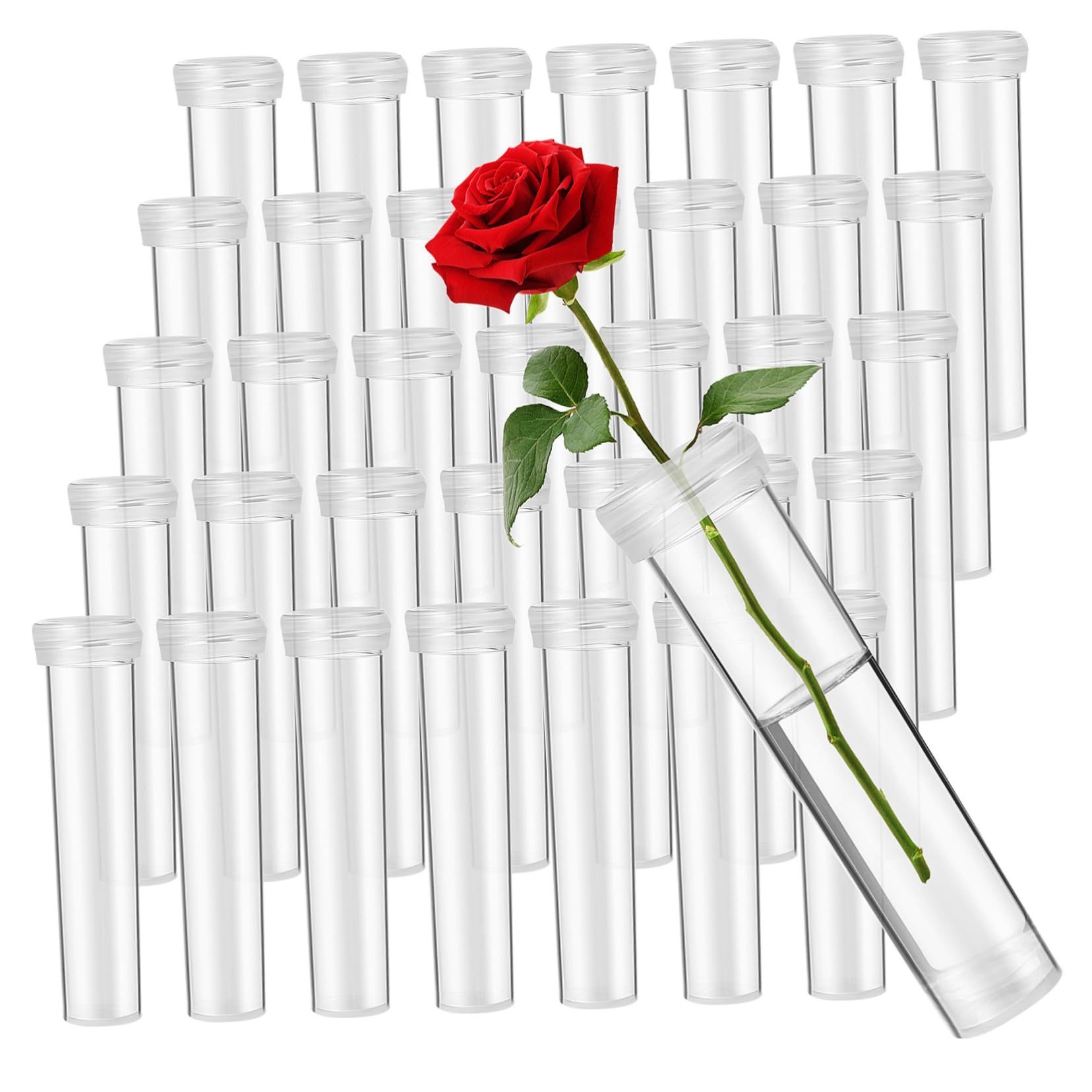 Lunaanda Provette Per Fiori In Plastica - 10 Pezzi Con Tappi, 11cm, Per Mantenere Fiori Freschi E Idratati