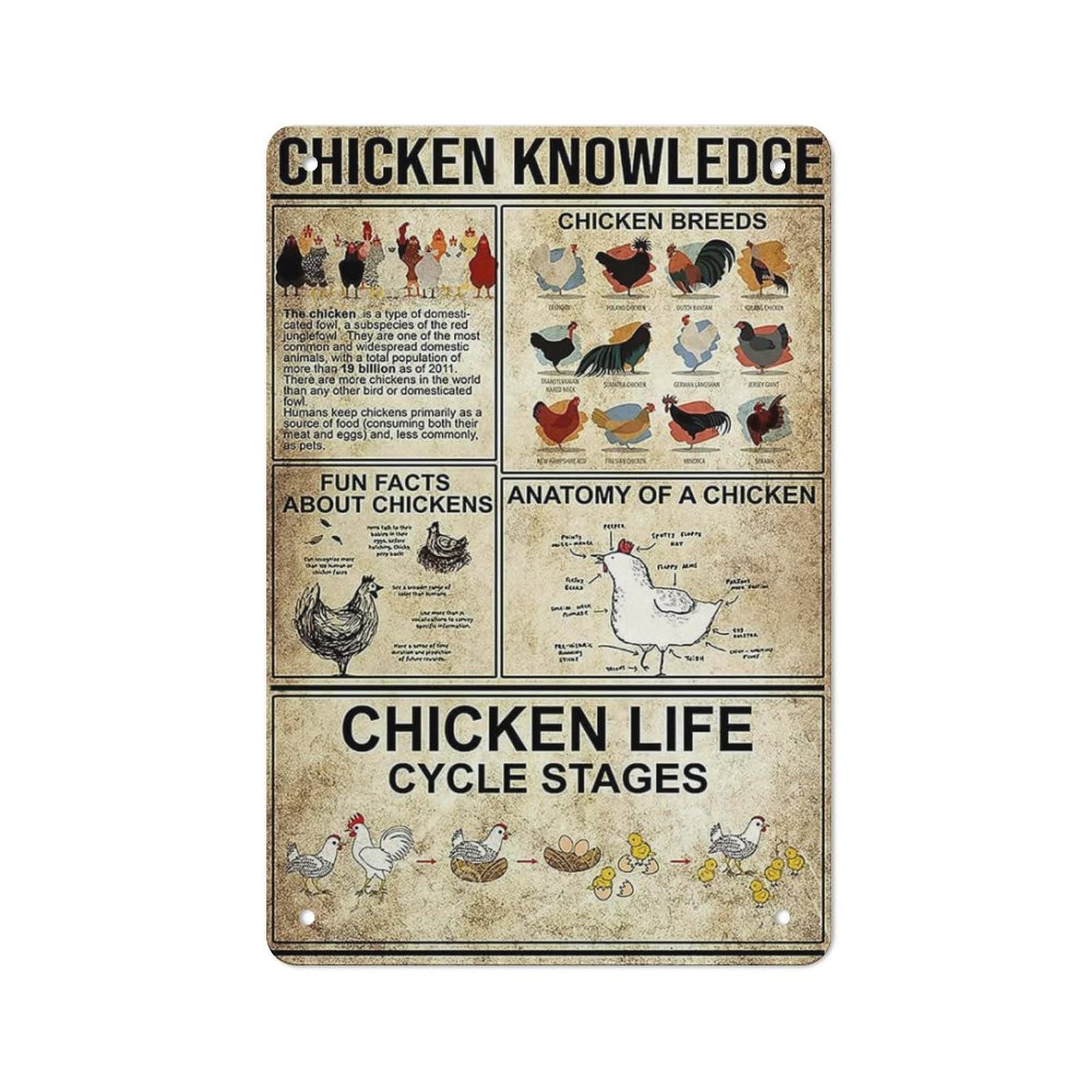 AOOEDM Chicken Knowledge Wall Metal Tin Sign for Home Bar Pub Kitchen Wall Art Deocr Man Cave Vintage Metal Sign Poster Plaque Signs Quotes Sign