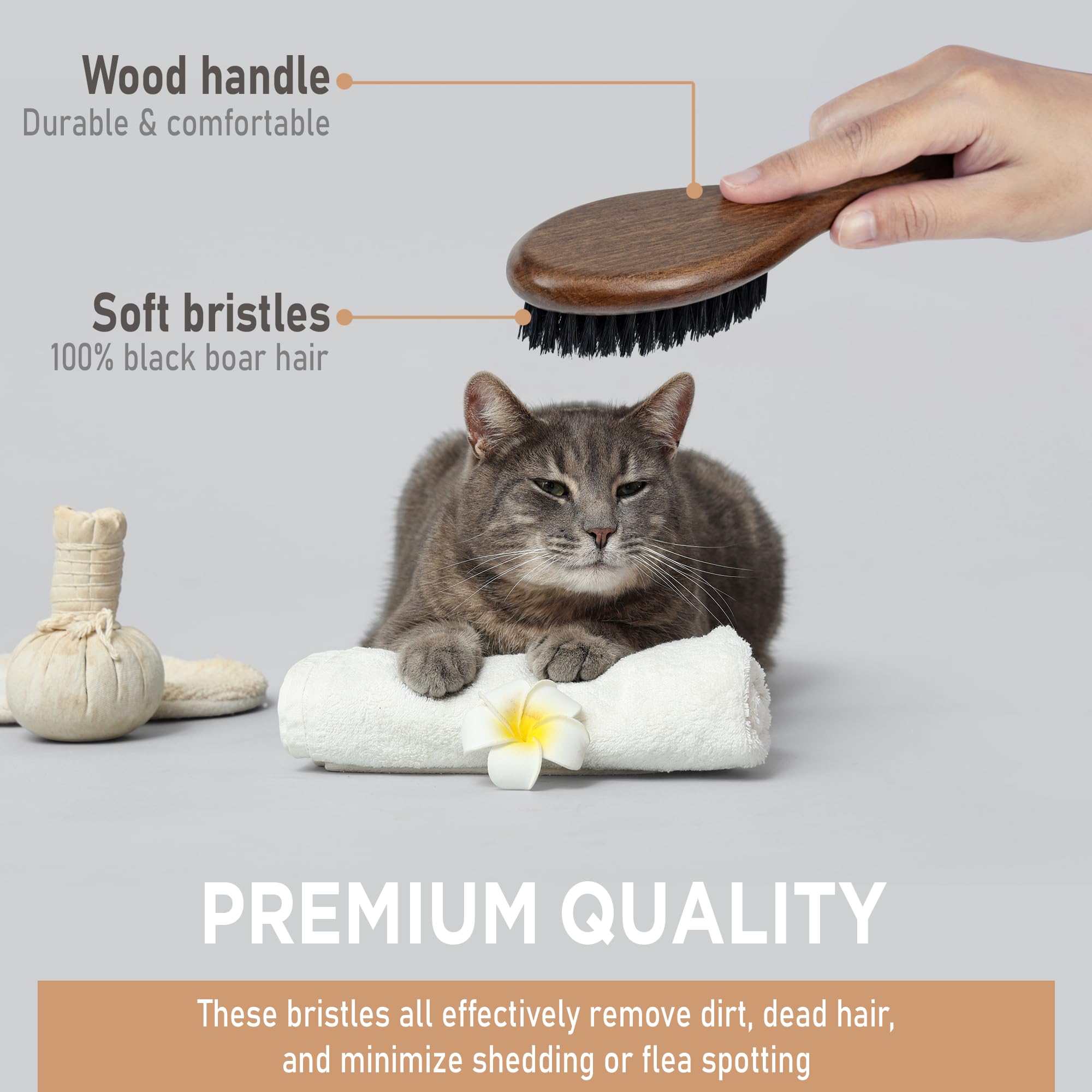 Cepillo para gatos y perros con cerdas de jabalí y mango de madera (cerdas de jabalí negras)