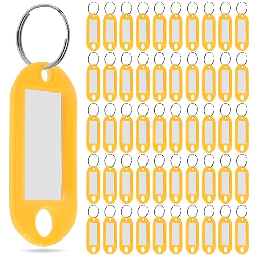 50 Pcs Plastic Key Tags with Label Window Key Ring