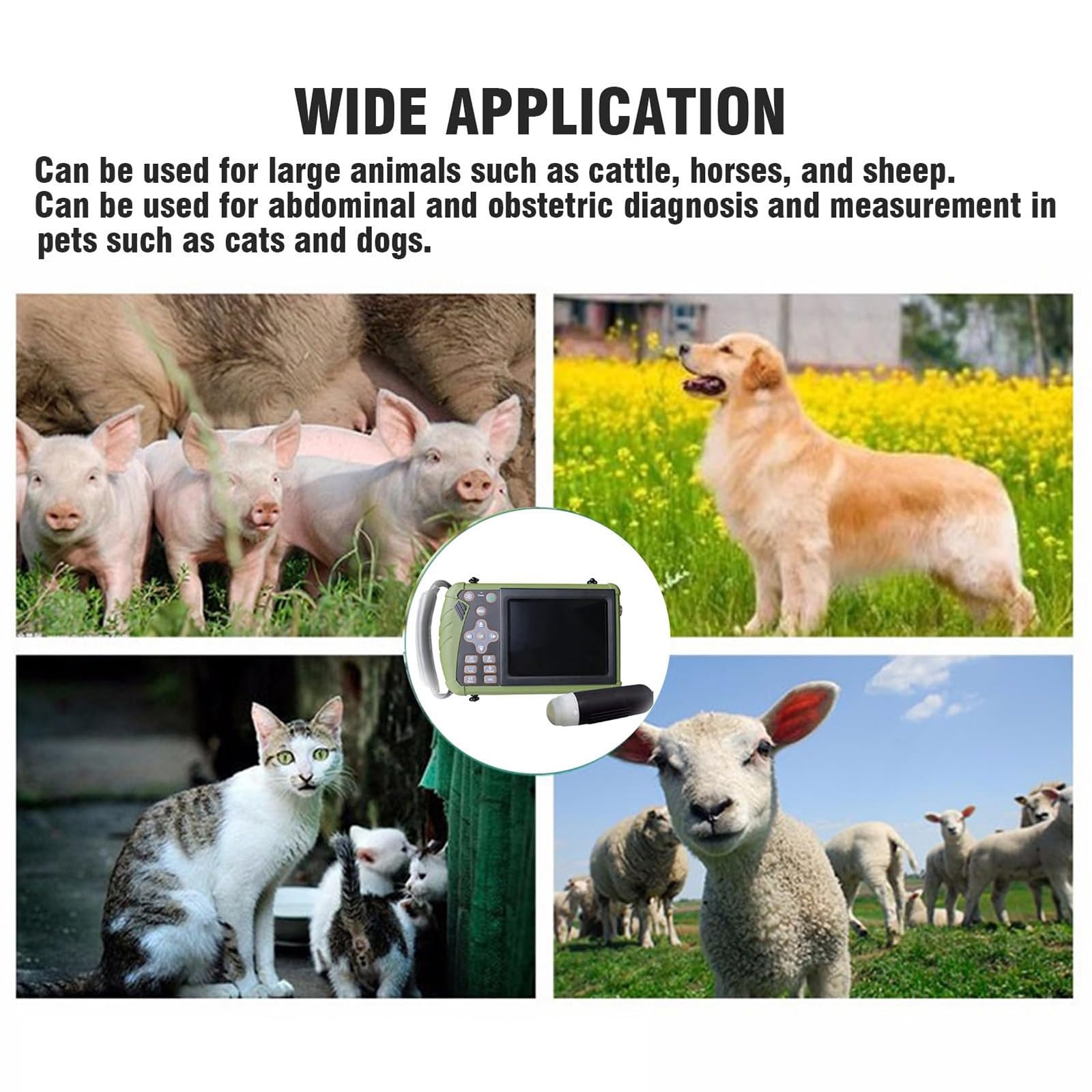Analizzatore veterinario di ultrasuono, macchina portatile di B-ultrasuono con la sonda 3.5MHz, diagnostica di gravidanza per bestiame, maiale, pecora, cane, gatto