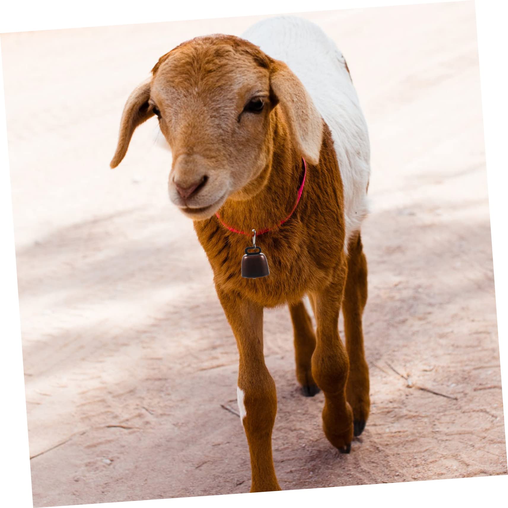 HOOTNEE 3sets Pet Bells for Dog and Cat Collars Metal Hanging Bell with Clear Sound Lightweight Anti-Lost Accessory for Outdoor Camping and Farming for Cattle and Sheep Decoration