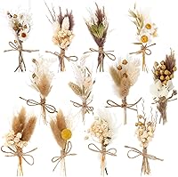 VAIPI 12 Pack Mini Dried Pampas Grass Bouquets - Natural Boho Flowers with Stem for Vases, Weddings, Crafts & Home Decor