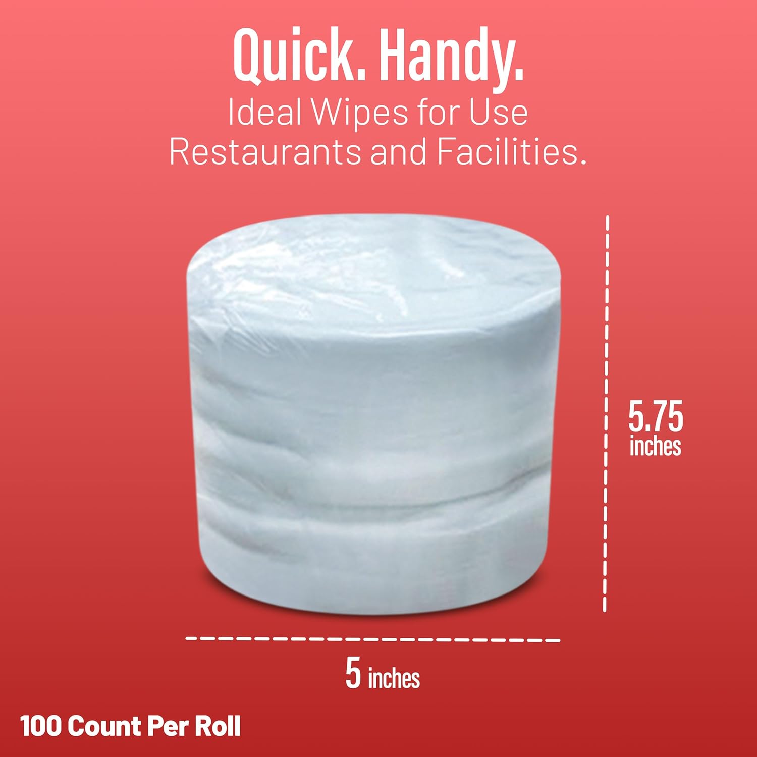 WIPESPLUS Replacement Standard Multi-Task Wipes, Dry Wipes for Home and Business, 600 Count (6 Packs of 100)