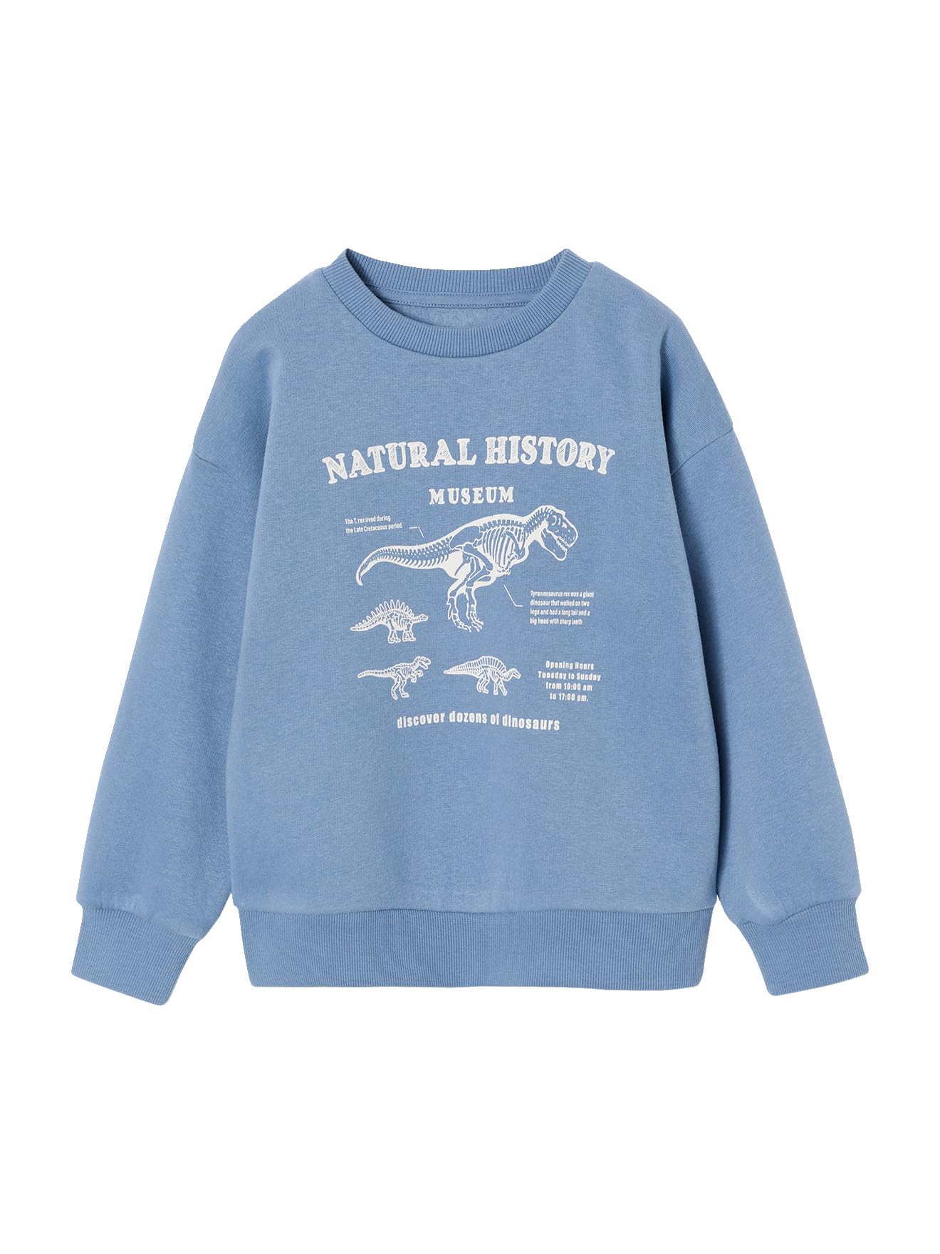 VERTBAUDET Lot de 2 Sweats Cool and Fun
