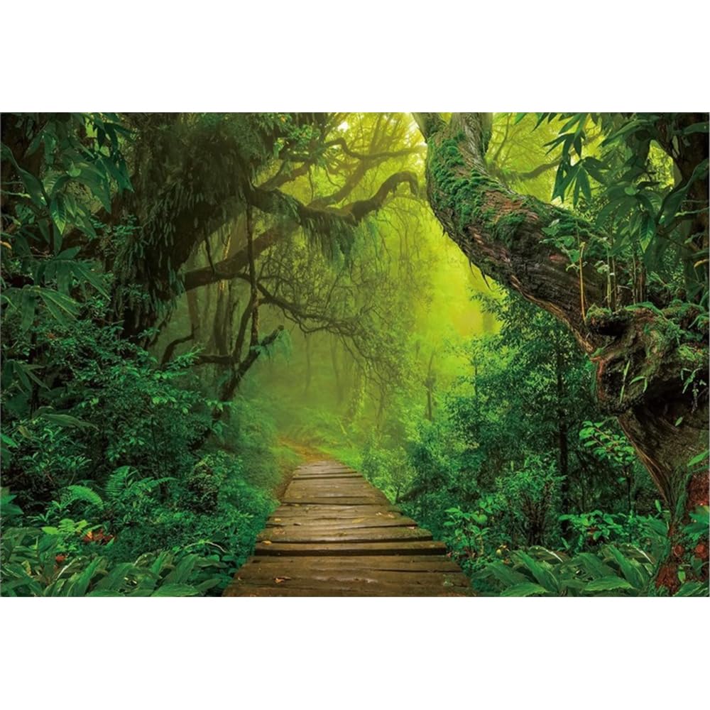 Xiaoterna 3,5x2,5m Wald Kulisse Frühling Dschungel Naturkulisse Fotografie Hintergrund Dschungel Regenwald Wälder Alte Bäume Sonnenschein Kulisse Erwachsene Kinder Portrait Fotostudio Requisiten