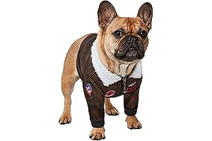Maverick Dog Costume: Rubies Top Gun Classic Movie Pet Costume