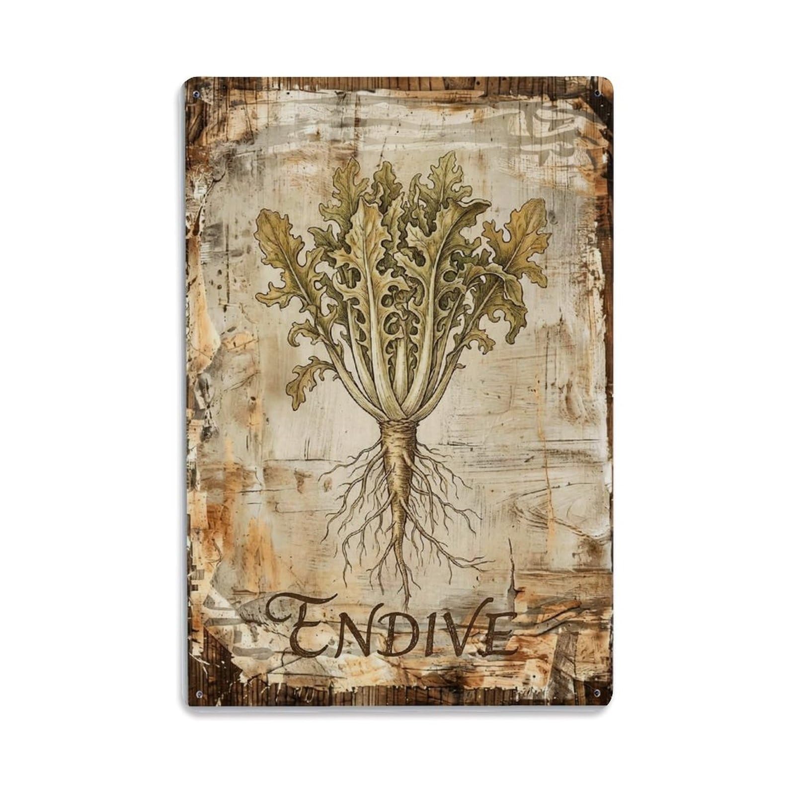 Endive Leafy Vegetable 1 Vintage Metal Tin Sign Plaque Wall Decor for Cafe, Club, Garden Metal Poster 8x12Inch