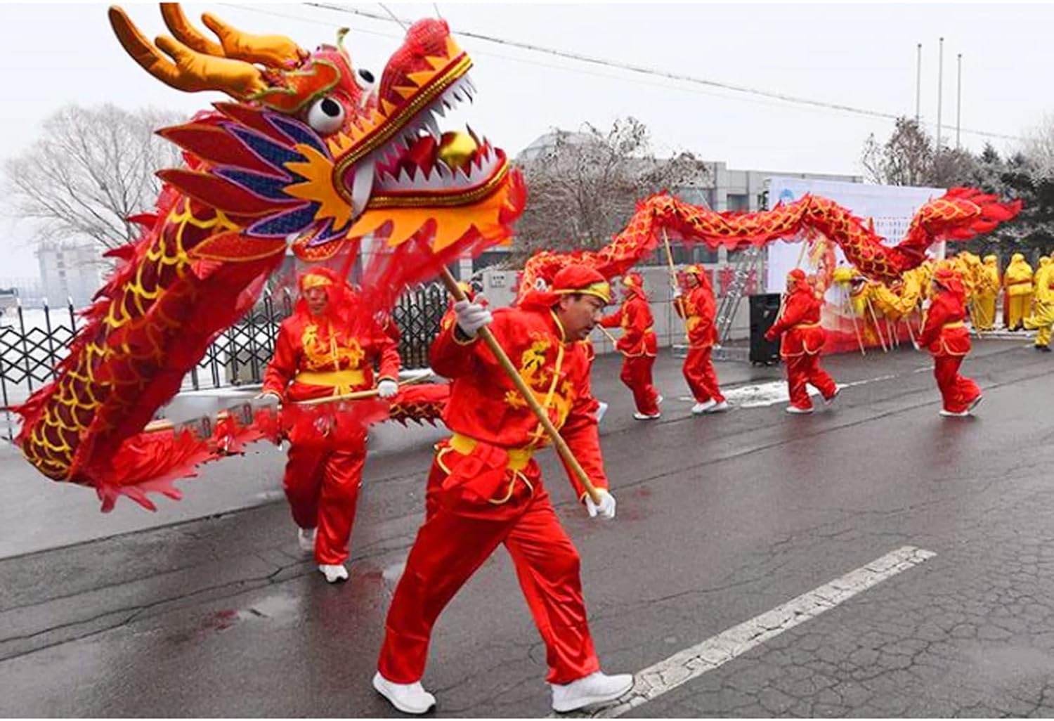 Drago Cinese per Feste Danza del Drago Cinese 18 M/59 Piedi Leone Sport Tradizionali Capodanno Lunare Spettacolo di Arte Popolare Feste Cinesi in Italia(Grün)