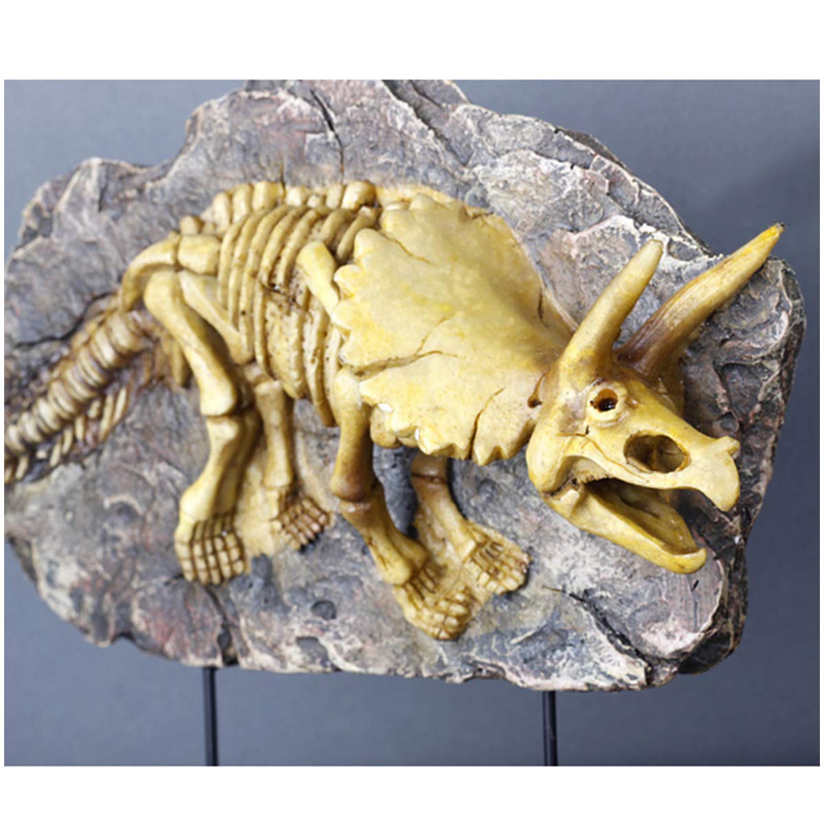 Jurassic-Dinosaurier-Statue, Dinosaurier-Harzmodell, Dinosaurierskelett, Tiermodell – Simuliertes Skelett, Harz-Fossil-Probenmodell – Harzhandwerk, Persönlichkeitsdekorat(Triceratops)