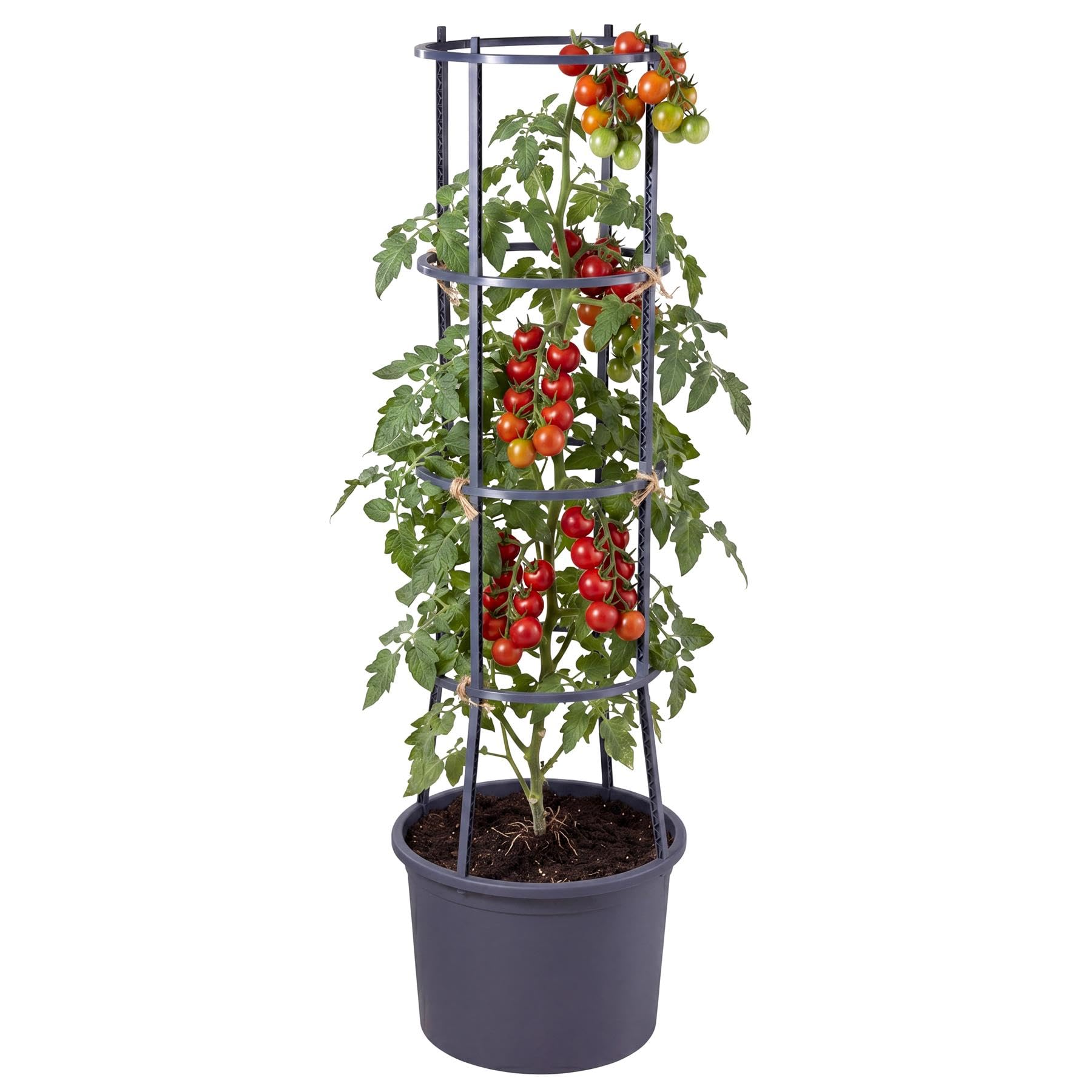 Geezy Self Watering 4 Tier Tomato Planter Pot Grower Vegetables Vine Trellis Support from B&Q
