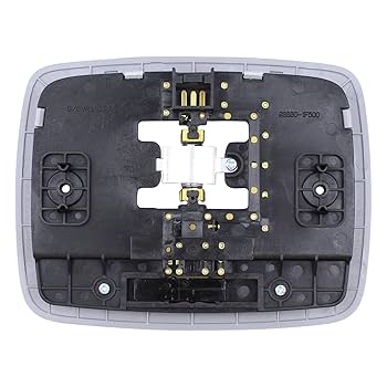 Amazon.com: ApplianPar Roof Map Reading Dome Light Cover