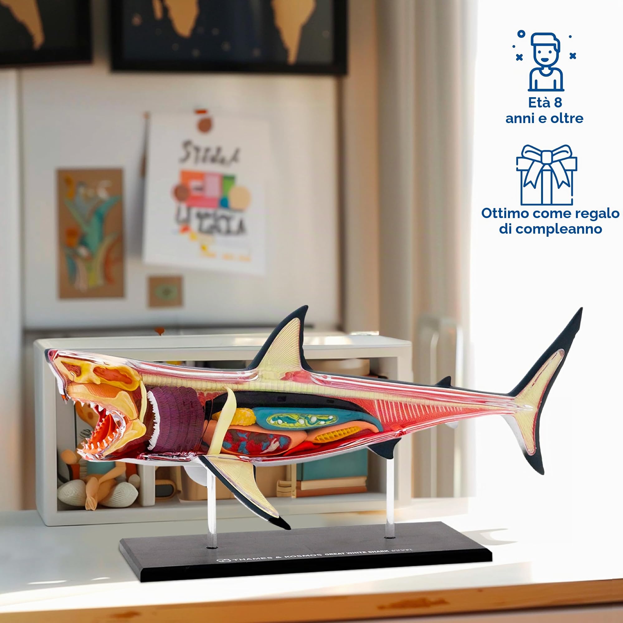 Thames & Kosmos , 261110 , Great White Shark Anatomy Model , 20 Parts with Stand and Illustrated Guide Book , Nature Discovery Range , Detachable Parts , 3D Models , Ages 8+