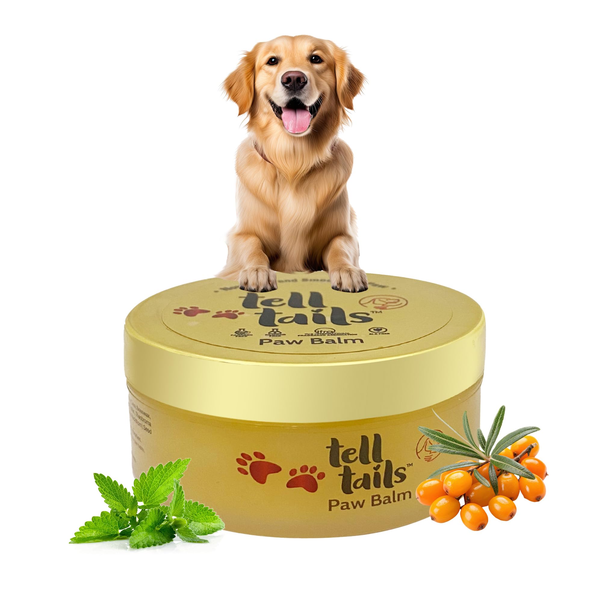Tell Tails Paw Cream for Dogs - 50gm | Hydrates & Conditions Paws | Heals Cracked,Rough Paws | Enriched with Vitamin E, Candelilla Wax, Sea Buckthorn Oil & Mint Oil | Restores Moisture & Adds Shine