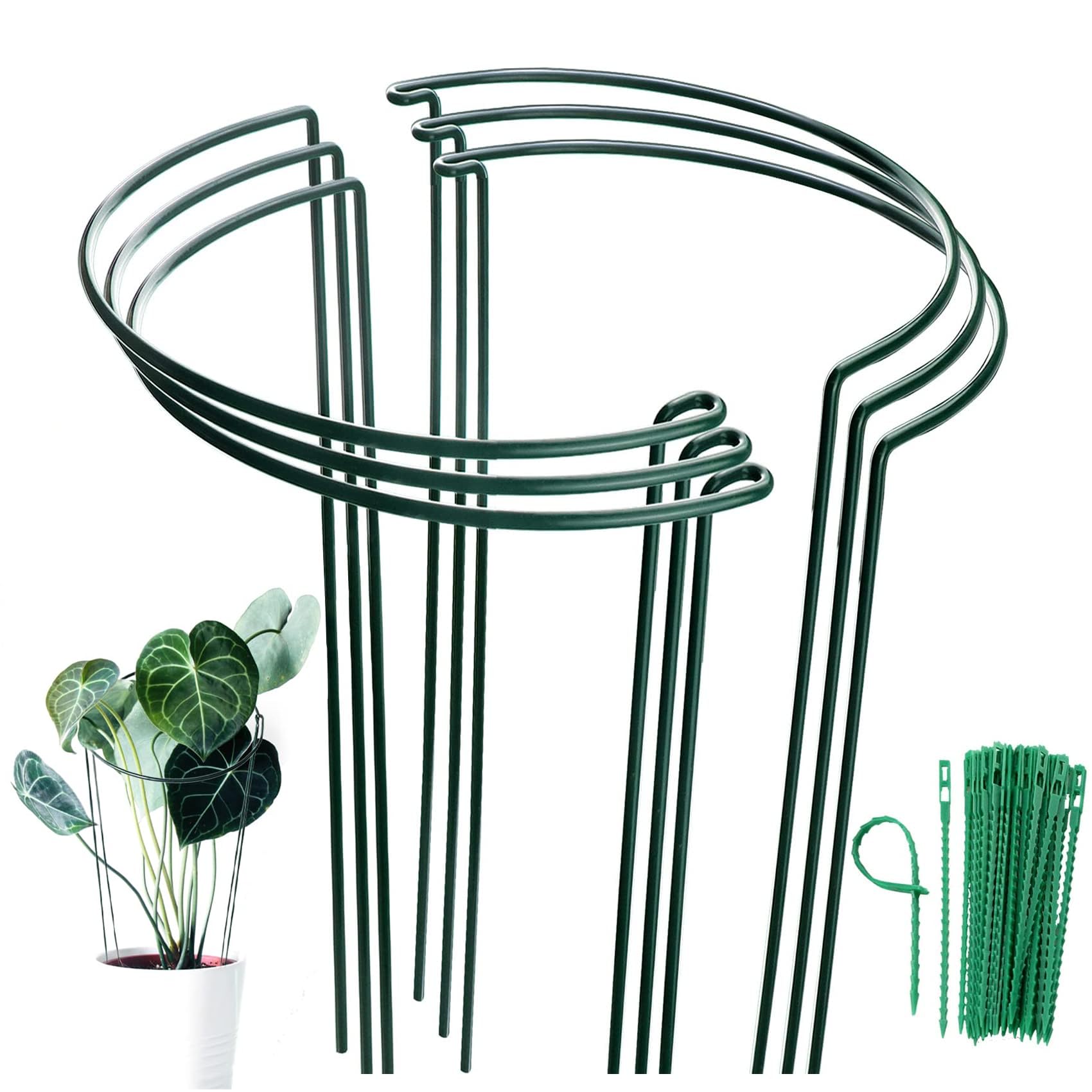 MUAEEOK 6 Pack 25x60cm Plant Support Stakes, Metal Garden Plant Stake, Outdoor Tall Plant Support Ring Cage,Large Plant Supports for Tomato,Vegetable, Rose,Flowers Vine (25x60cm) — image 1