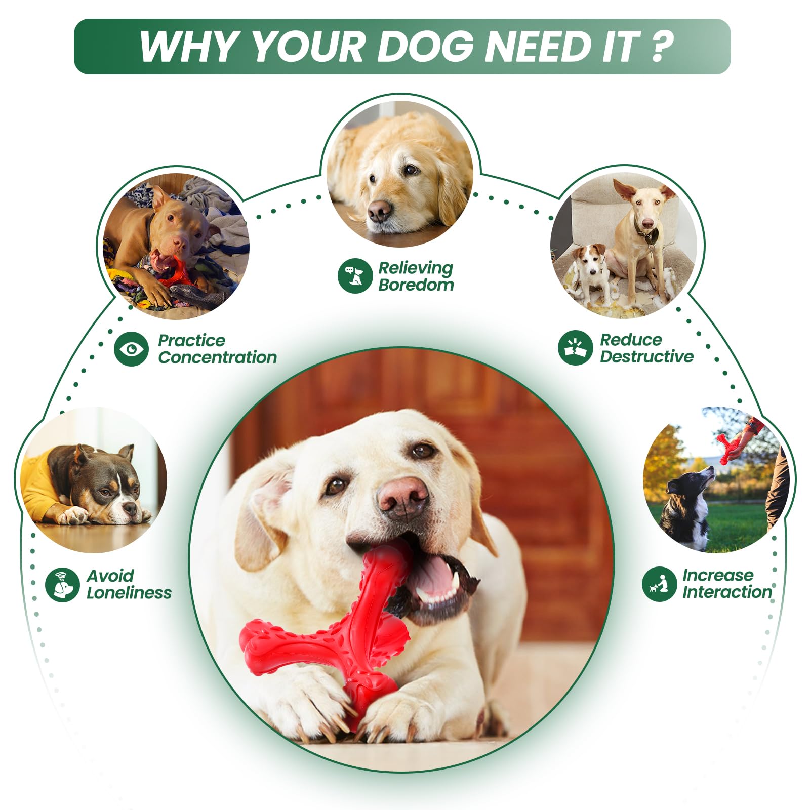 CVALIN Dog Chew Toys for Aggressive Chewers Large Breed,Indestructible Bones Toy,Durable Cleaning Toothbrush Natural Rubber Dog Toys - Image 4