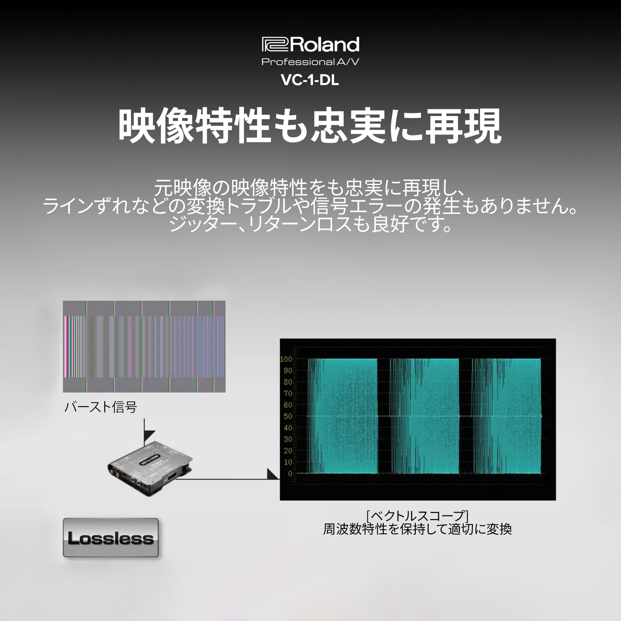 Amazon.co.jp: Roland ローランド ビデオコンバーター VC-1-DL