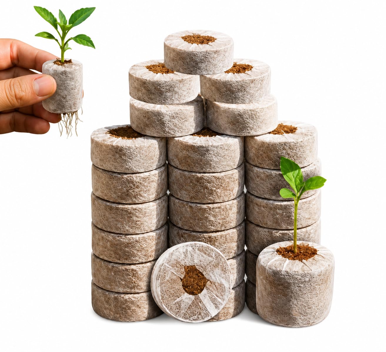 Go Garden Coco Disc for Seed Germination | Coco Pellets & Coco Coin Coir for Seed Starting | Expandable Peat Pellets for Gardening, Seedlings & Nursery Plants (Pack of 100)-image-3
