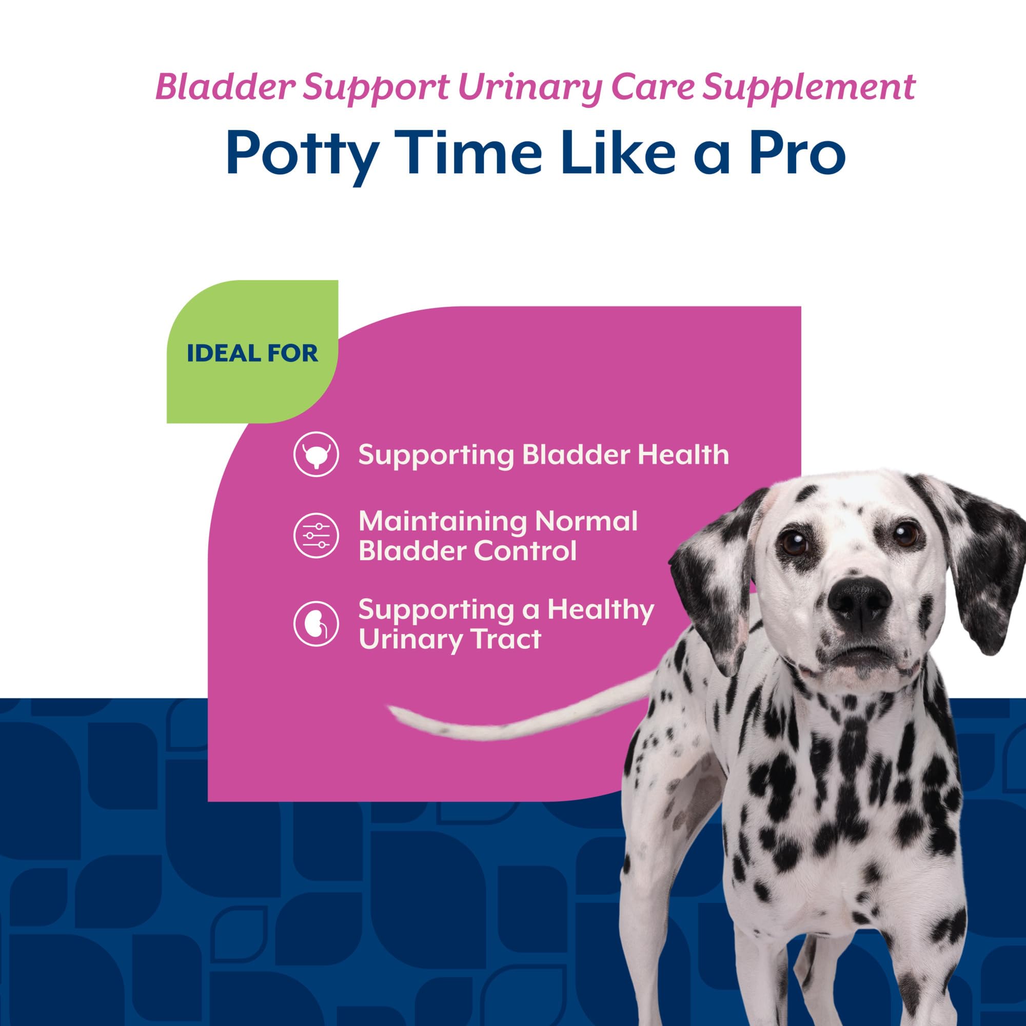 NaturVet Bladder Support Plus Cranberry for Dogs, 60 ct Chewable Tablets — Amazon image 4