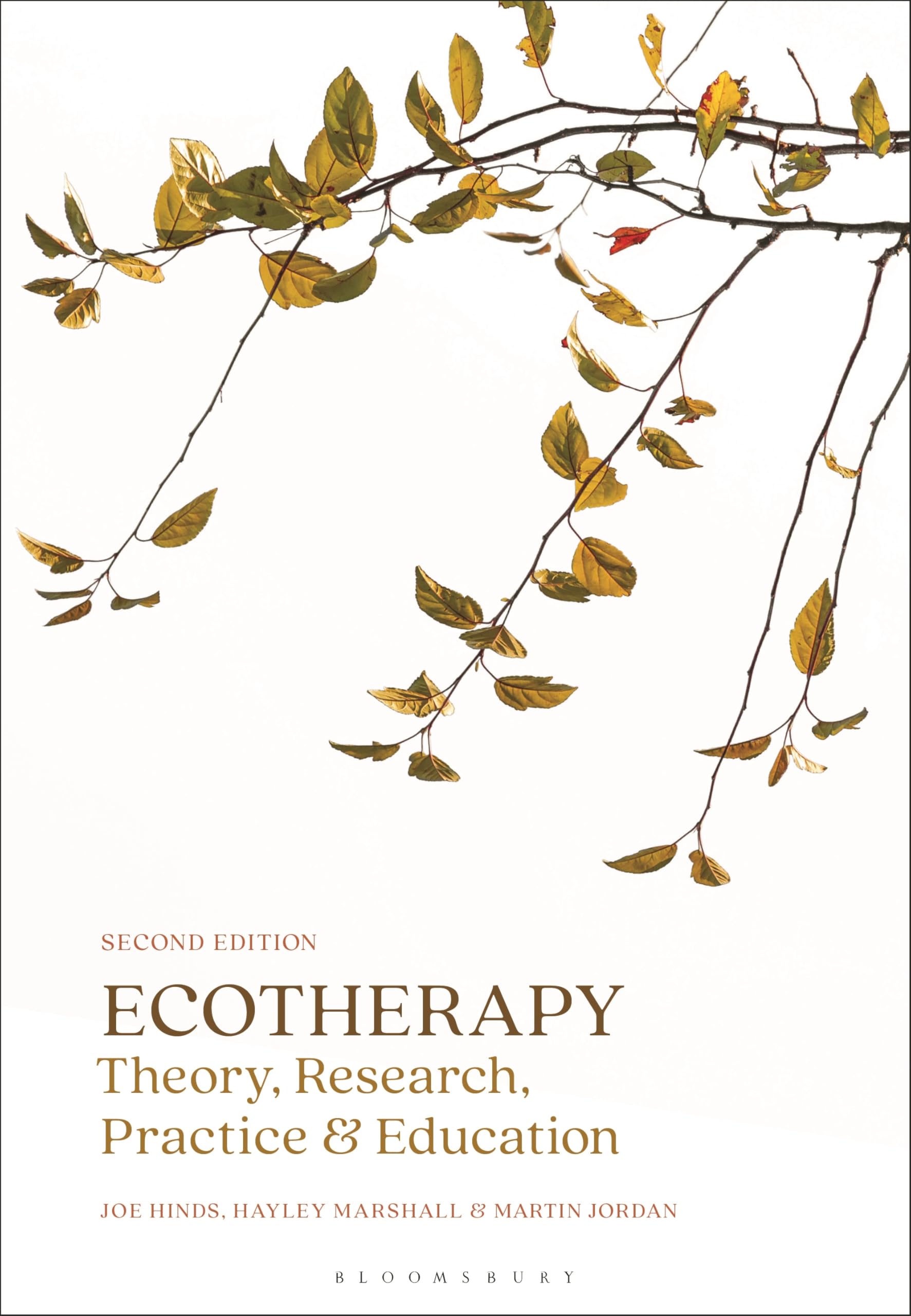 Ecotherapy Theory, Research, Practice & Education (Paperback Book)