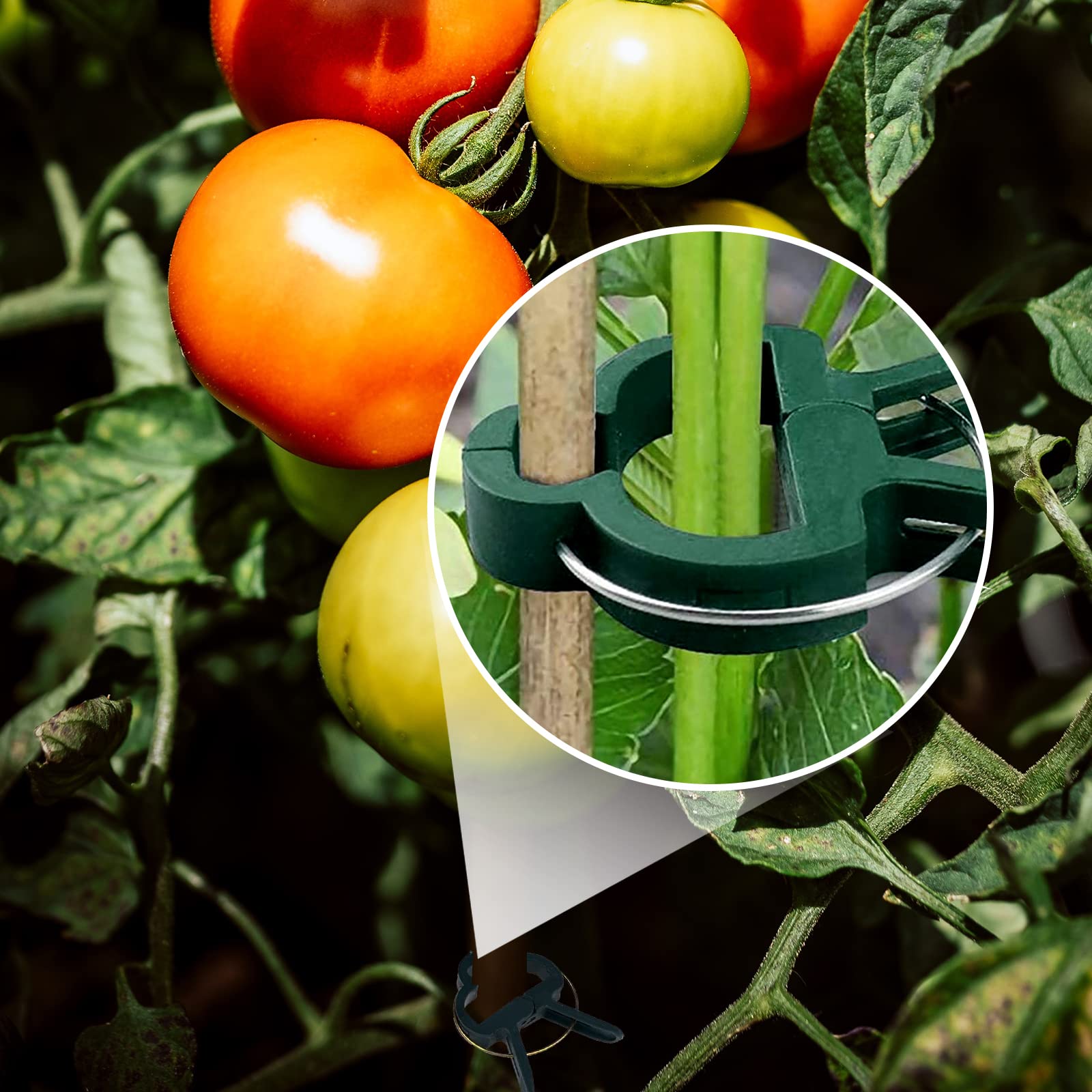120 Clips Para Plantas - 40 Grandes + 60 Pequeños + 20 Bridas, Ideal Para Tomates