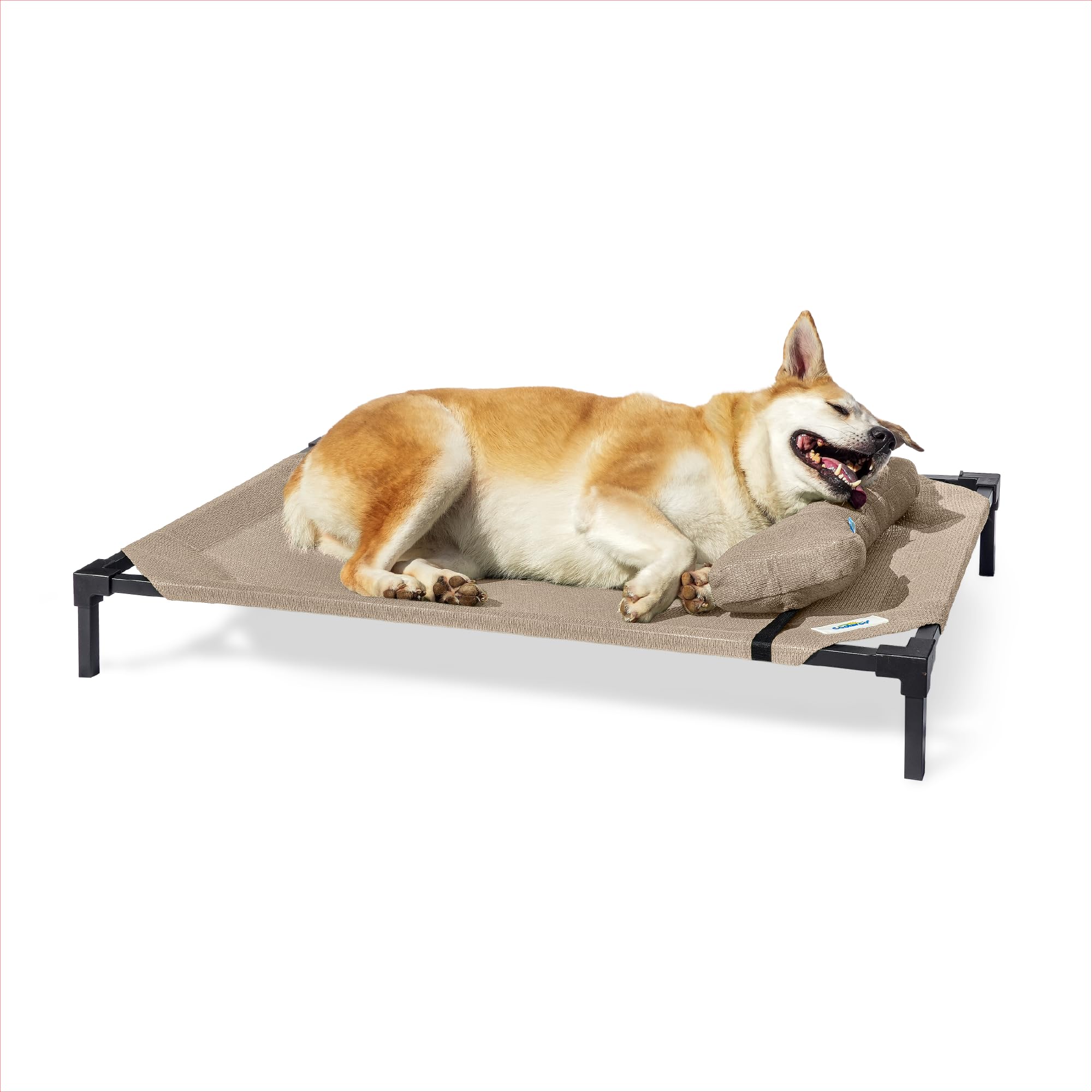 Best Elevated Dog Beds for Hot Climates in 2026